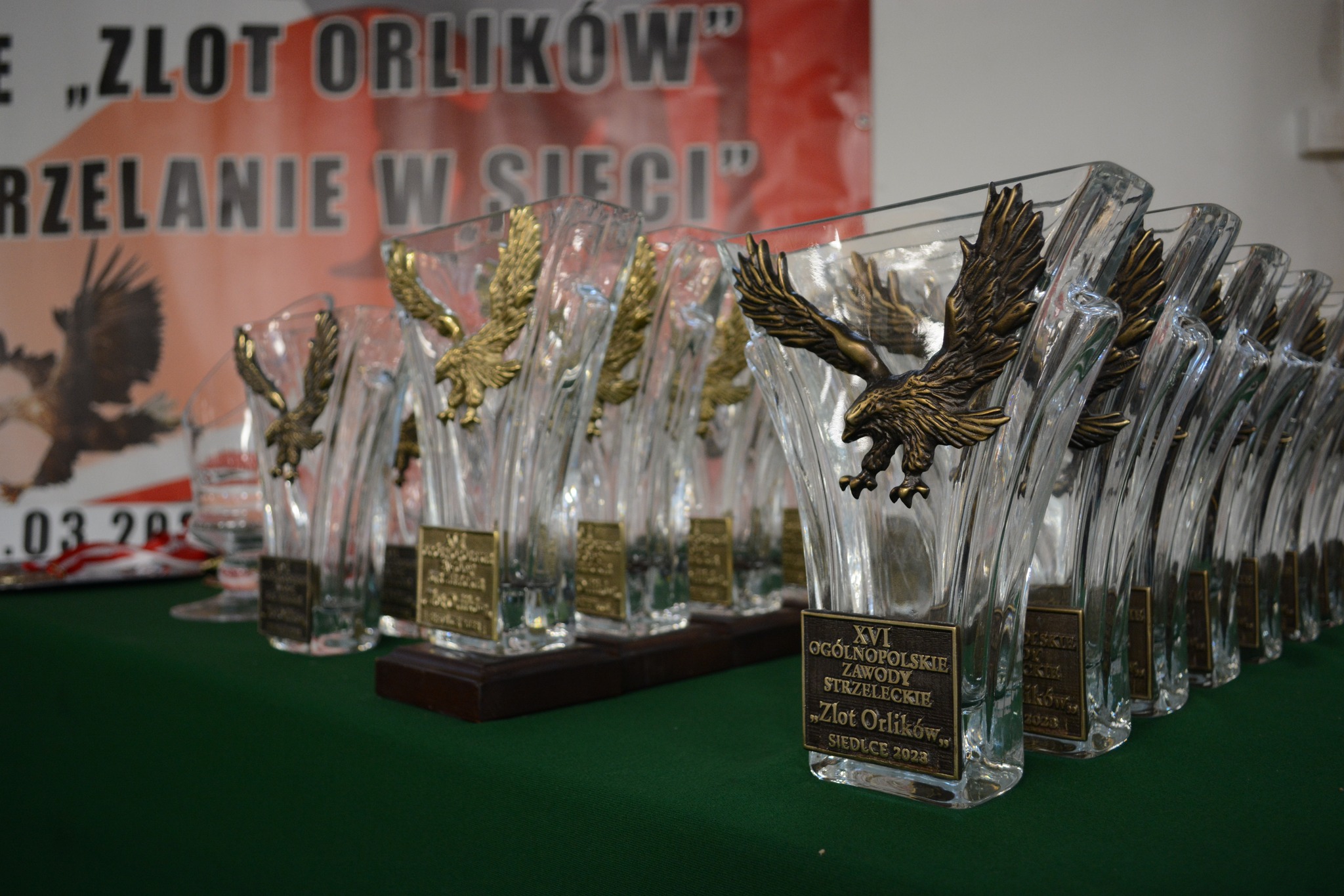 Read more about the article “Zlot Orlików” kolejny rok gościł ROLL !